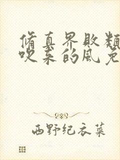 修真界败类大漠吹来的风免费听