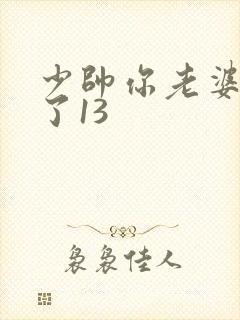 少帅你老婆又跑了13