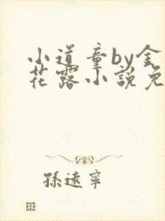 小道童by金银花露小说免费阅读笔趣阁