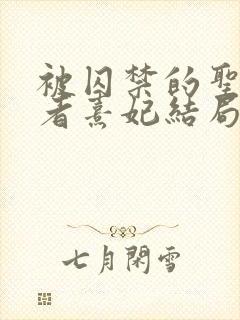 被囚禁的圣女作者熹妃结局全文阅读