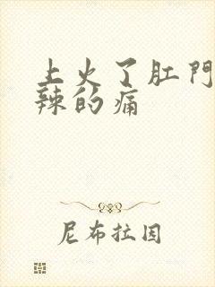 上火了肛门火辣辣的痛