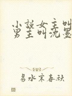 小说女主叫苏桃男主叫沈墨尘封面