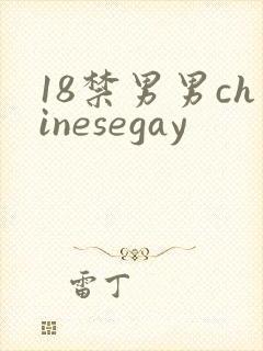 18禁男男chinesegay封面