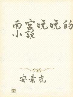 南宫晚晚的全部小说