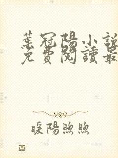 叶冠阳小说全文免费阅读最新章节