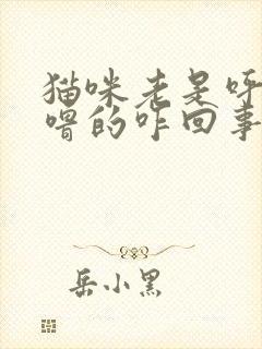 猫咪老是呼噜呼噜的咋回事封面