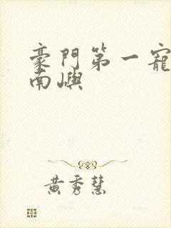 豪门第一宠婚 南屿