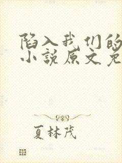 陷入我们的热恋小说原文免费阅读