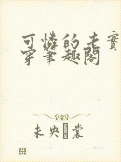 可怜的老实人快穿笔趣阁