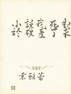 小说我死对头终于破产了未删减小说