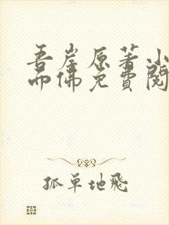 吾岸原著小说四面佛免费阅读