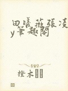 田曦薇张凌赫by笔趣阁