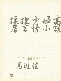 揉捏少妇高耸乳房言情小说