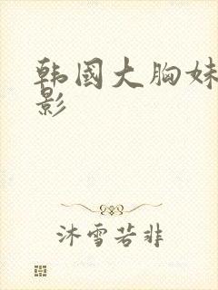 韩国大胸妹子电影封面