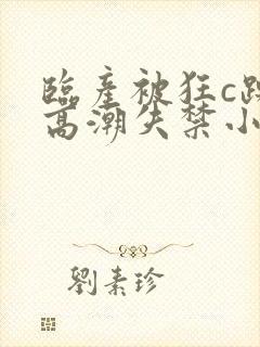 临产被狂c躁到高潮失禁小说