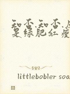 知否.知否.应是绿肥红瘦免费观看