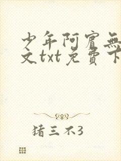 少年阿宾无删全文txt免费下载