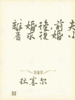 离婚后,前夫哭着求复婚 小说免费阅读封面