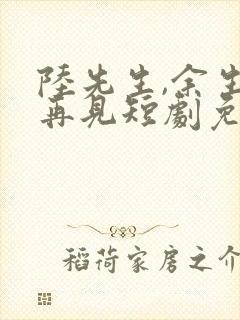 陆先生,余生不再见短剧免费