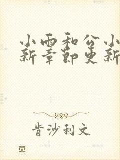 小雨和公小说最新章节更新时间