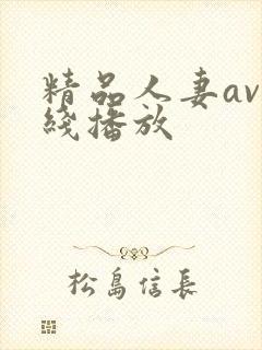 精品人妻av在线播放