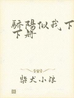 骄阳似我下顾漫下册