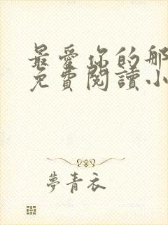 最爱你的那十年免费阅读小说