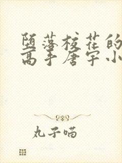 堕落校花的贴身高手唐宇小说