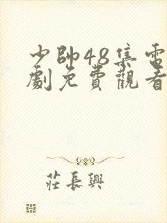 少帅48集电视剧免费观看高清