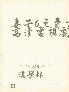 妻子6免费完整高清电视剧在线观看