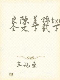 良陈美锦txt全文下载下载