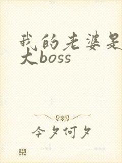 我的老婆是重生大boss