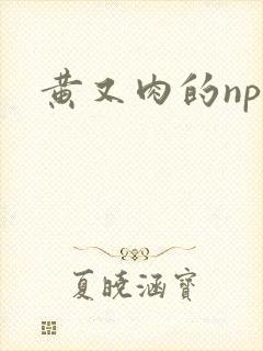 黄又肉的np文