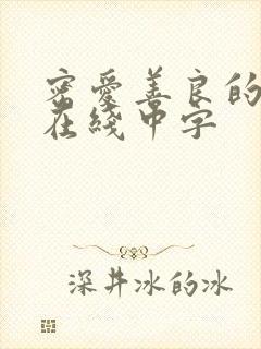 密爱善良的嫂子在线中字封面
