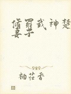 修罗武神楚枫的妻子