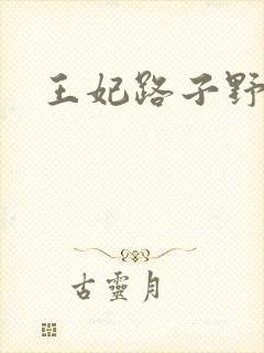王妃路子野得宠