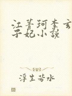 江菁珂李玄尧太子妃小说