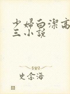 少妇白洁高义陈三小说