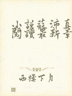 小说苏沛真全文阅读最新章节更新时间