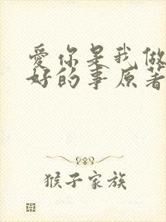 爱你是我做过最好的事原著小说封面