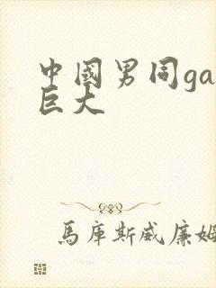 中国男同gay巨大封面