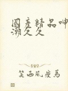 国产精品呻吟高潮久久