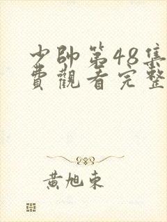 少帅第48集免费观看完整版封面