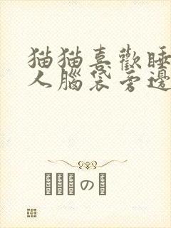 猫猫喜欢睡在主人脑袋旁边封面