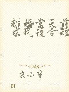 离婚当天前夫跪求我复合短剧