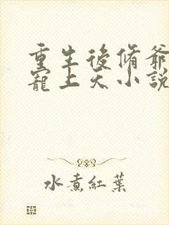 重生后修爷把我宠上天小说封面