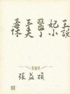 毒手医妃王爷被休夫了小说封面