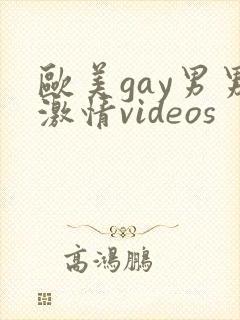欧美gay男男激情videos