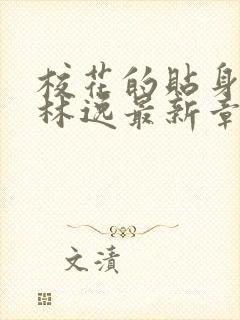 校花的贴身高手林逸最新章节下载