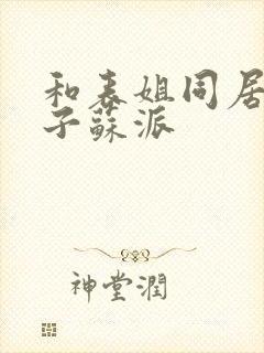 和表姐同居的日子苏派封面